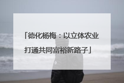 德化杨梅：以立体农业打通共同富裕新路子