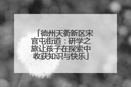 德州天衢新区宋官屯街道：研学之旅让孩子在探索中收获知识与快乐