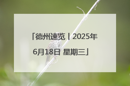 德州速览丨2025年6月18日 星期三