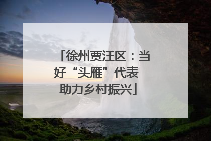 徐州贾汪区：当好“头雁”代表 助力乡村振兴