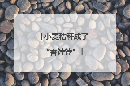 小麦秸秆成了“香饽饽”