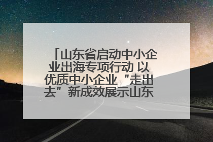 山东省启动中小企业出海专项行动 以优质中小企业“走出去”新成效展示山东产业发展新形象