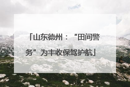 山东德州：“田间警务”为丰收保驾护航