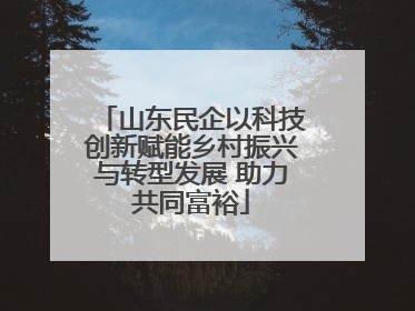 山东民企以科技创新赋能乡村振兴与转型发展 助力共同富裕