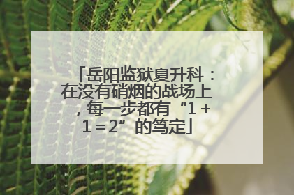 岳阳监狱夏升科：在没有硝烟的战场上，每一步都有“1＋1＝2”的笃定
