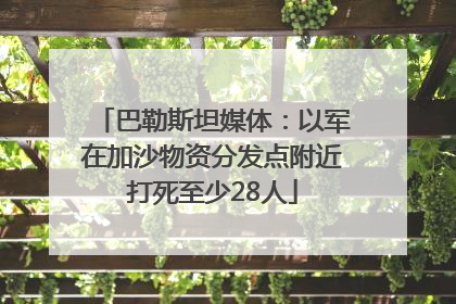 巴勒斯坦媒体：以军在加沙物资分发点附近打死至少28人