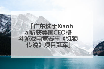 广东选手Xiaohai斩获美国CEO格斗游戏电竞赛事《饿狼传说》项目冠军