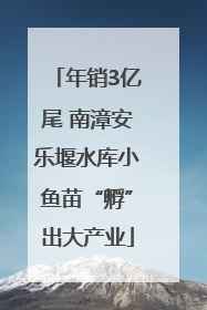 年销3亿尾 南漳安乐堰水库小鱼苗“孵”出大产业