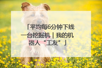 平均每6分钟下线一台挖掘机｜我的机器人“工友”