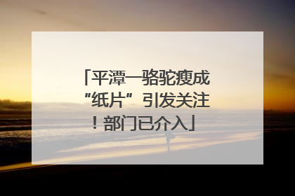 平潭一骆驼瘦成“纸片”引发关注！部门已介入