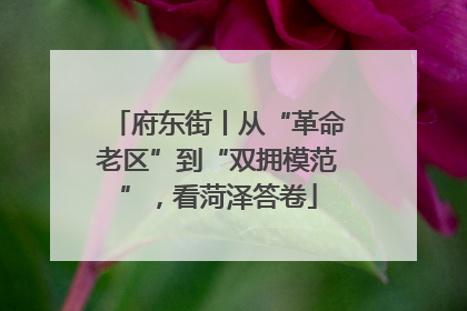 府东街丨从“革命老区”到“双拥模范”，看菏泽答卷