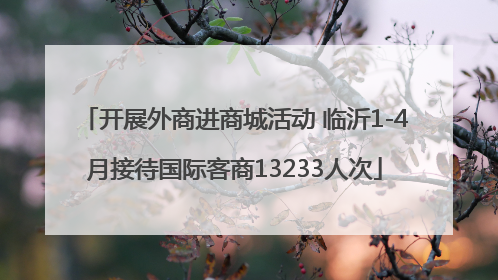 开展外商进商城活动 临沂1-4月接待国际客商13233人次