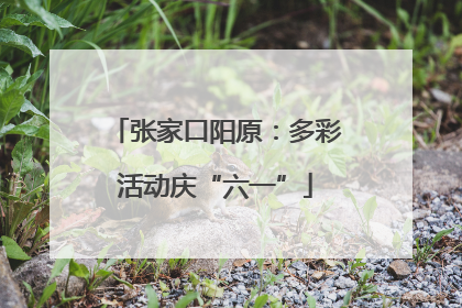 张家口阳原：多彩活动庆“六一”