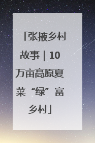 张掖乡村故事｜10万亩高原夏菜“绿”富乡村