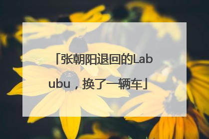 张朝阳退回的Labubu，换了一辆车