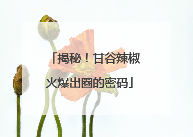 揭秘！甘谷辣椒火爆出圈的密码