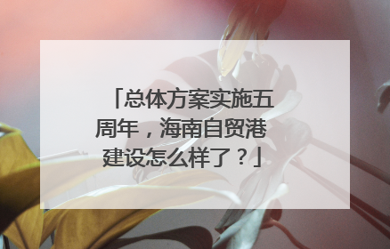 总体方案实施五周年，海南自贸港建设怎么样了？
