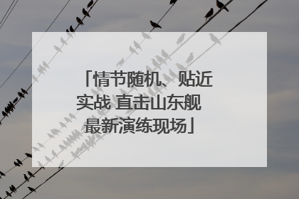 情节随机、贴近实战 直击山东舰最新演练现场