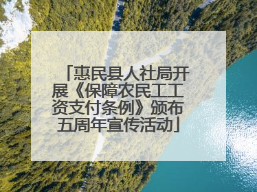 惠民县人社局开展《保障农民工工资支付条例》颁布五周年宣传活动