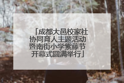 成都大邑校家社协同育人主题活动暨南街小学紫藤节开幕式圆满举行