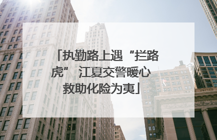 执勤路上遇“拦路虎” 江夏交警暖心救助化险为夷
