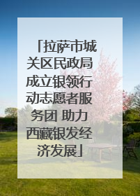 拉萨市城关区民政局成立银领行动志愿者服务团 助力西藏银发经济发展