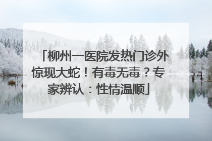 柳州一医院发热门诊外惊现大蛇！有毒无毒？专家辨认：性情温顺