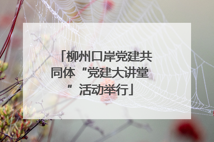 柳州口岸党建共同体“党建大讲堂”活动举行