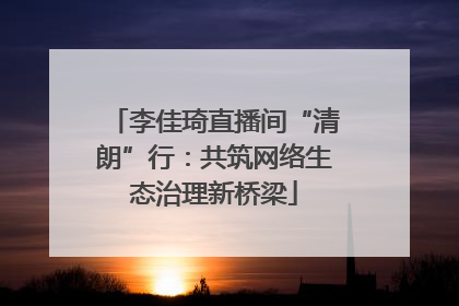 李佳琦直播间“清朗”行：共筑网络生态治理新桥梁