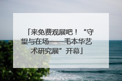 来免费观展吧！“守望与在场——毛本华艺术研究展”开幕