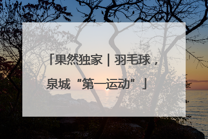 果然独家｜羽毛球，泉城“第一运动”