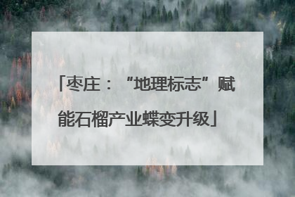 枣庄：“地理标志”赋能石榴产业蝶变升级