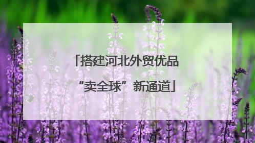 搭建河北外贸优品“卖全球”新通道