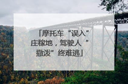 摩托车“误入”庄稼地，驾驶人“撒泼”终难逃