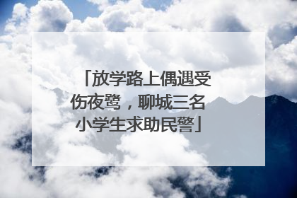 放学路上偶遇受伤夜鹭，聊城三名小学生求助民警