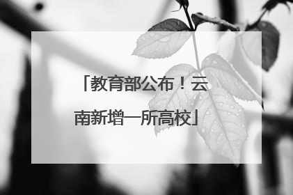 教育部公布！云南新增一所高校