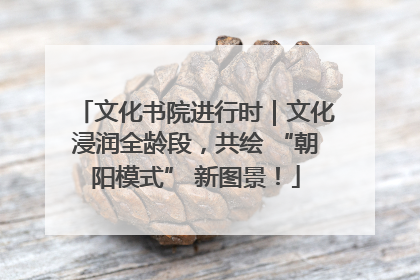 文化书院进行时｜文化浸润全龄段，共绘 “朝阳模式” 新图景！