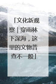 文化新观察｜穿雨林下深海，这里的文物普查不一般