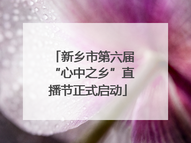 新乡市第六届“心中之乡”直播节正式启动