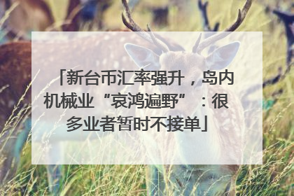 新台币汇率强升，岛内机械业“哀鸿遍野”：很多业者暂时不接单
