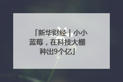 新华财经｜小小蓝莓，在科技大棚种出9个亿