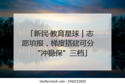 新民·教育星球｜志愿填报，梯度搭建可分“冲稳保”三档