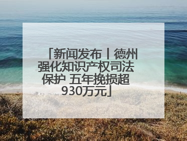 新闻发布丨德州强化知识产权司法保护 五年挽损超930万元