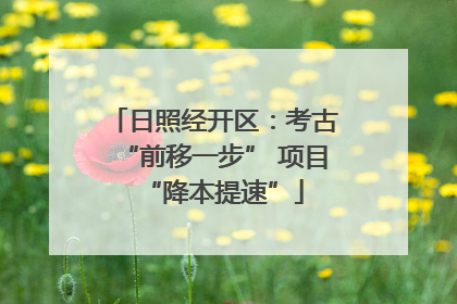 日照经开区：考古“前移一步” 项目“降本提速”