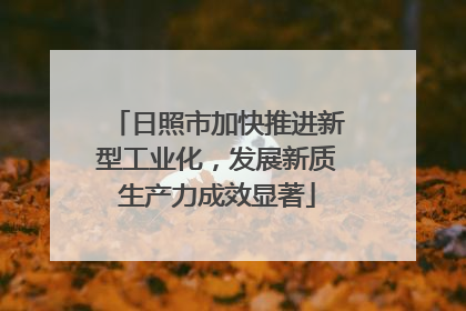 日照市加快推进新型工业化，发展新质生产力成效显著