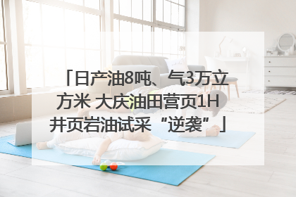 日产油8吨、气3万立方米 大庆油田营页1H井页岩油试采“逆袭”