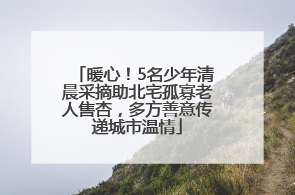 暖心！5名少年清晨采摘助北宅孤寡老人售杏，多方善意传递城市温情
