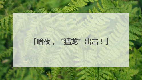 暗夜，“猛龙”出击！