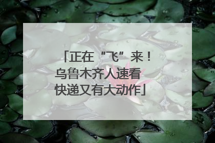 正在“飞”来！乌鲁木齐人速看 快递又有大动作