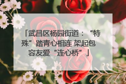 武昌区杨园街道：“特殊”踏青心相连 架起包容友爱“连心桥”